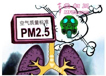 PM2.5Σ PM2.5ΣЩ