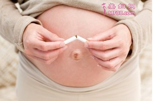怀孕期间不能吃什么,孕妈注意饮食禁忌