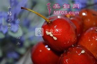 Ǻ«ͥ棩裺9