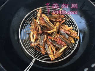 ըƵ裺4
