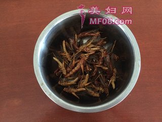 ըƵ裺5