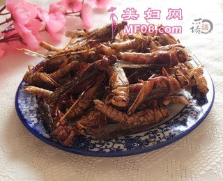 ըƵ裺6