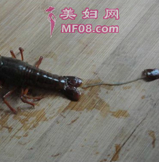 СϺ裺2