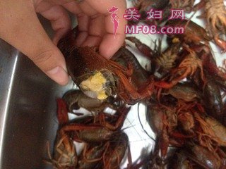 ơСϺ裺4