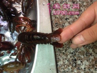 ơСϺ裺2