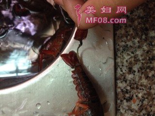 ơСϺ裺3