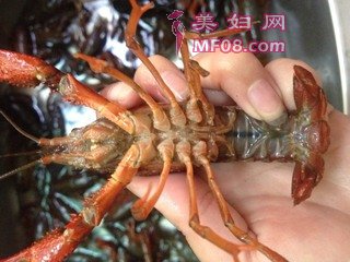 ơСϺ裺1