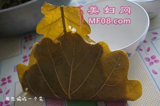 Ҷ裺33
