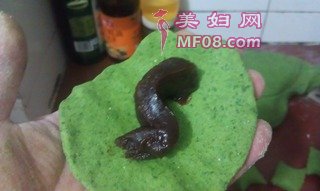 Ҷε裺5
