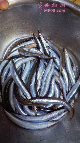 香煎面条鱼