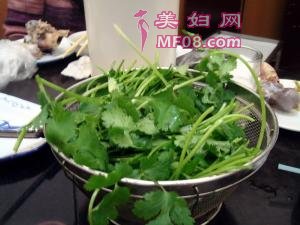 香菜