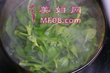 姜丝拌穿心莲步骤1