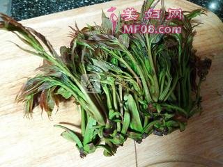香椿鱼儿