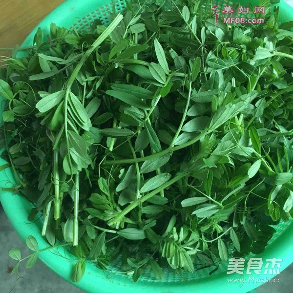 清炒野豌豆尖的做法