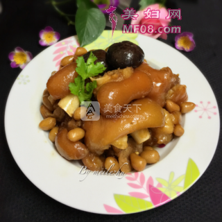 花生炖猪蹄