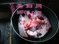 养生食谱大放送