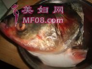 养生食谱大放送