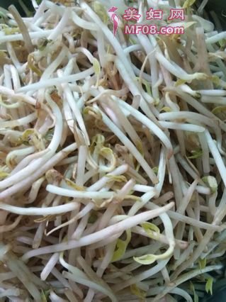 芝麻酱凉拌黄瓜豆芽菜