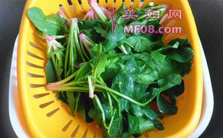 麻汁菠菜