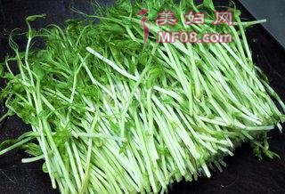 上汤豆苗