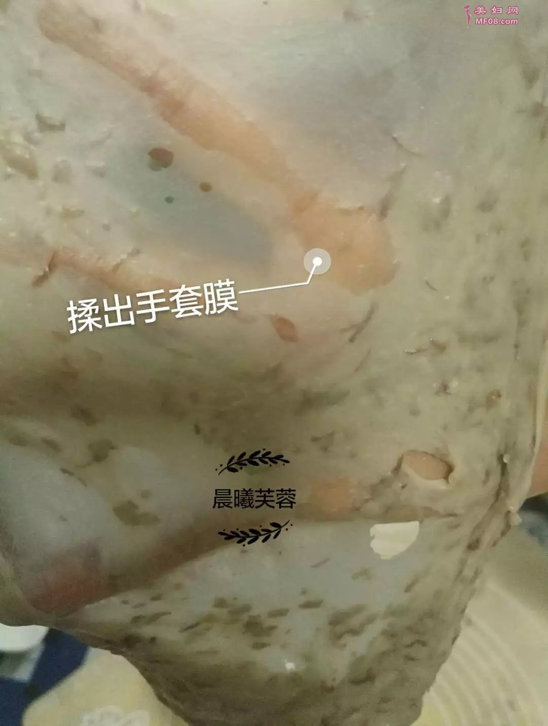 酵素DIY美食
