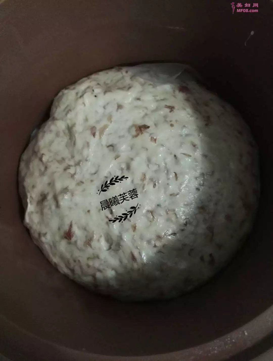 酵素DIY美食