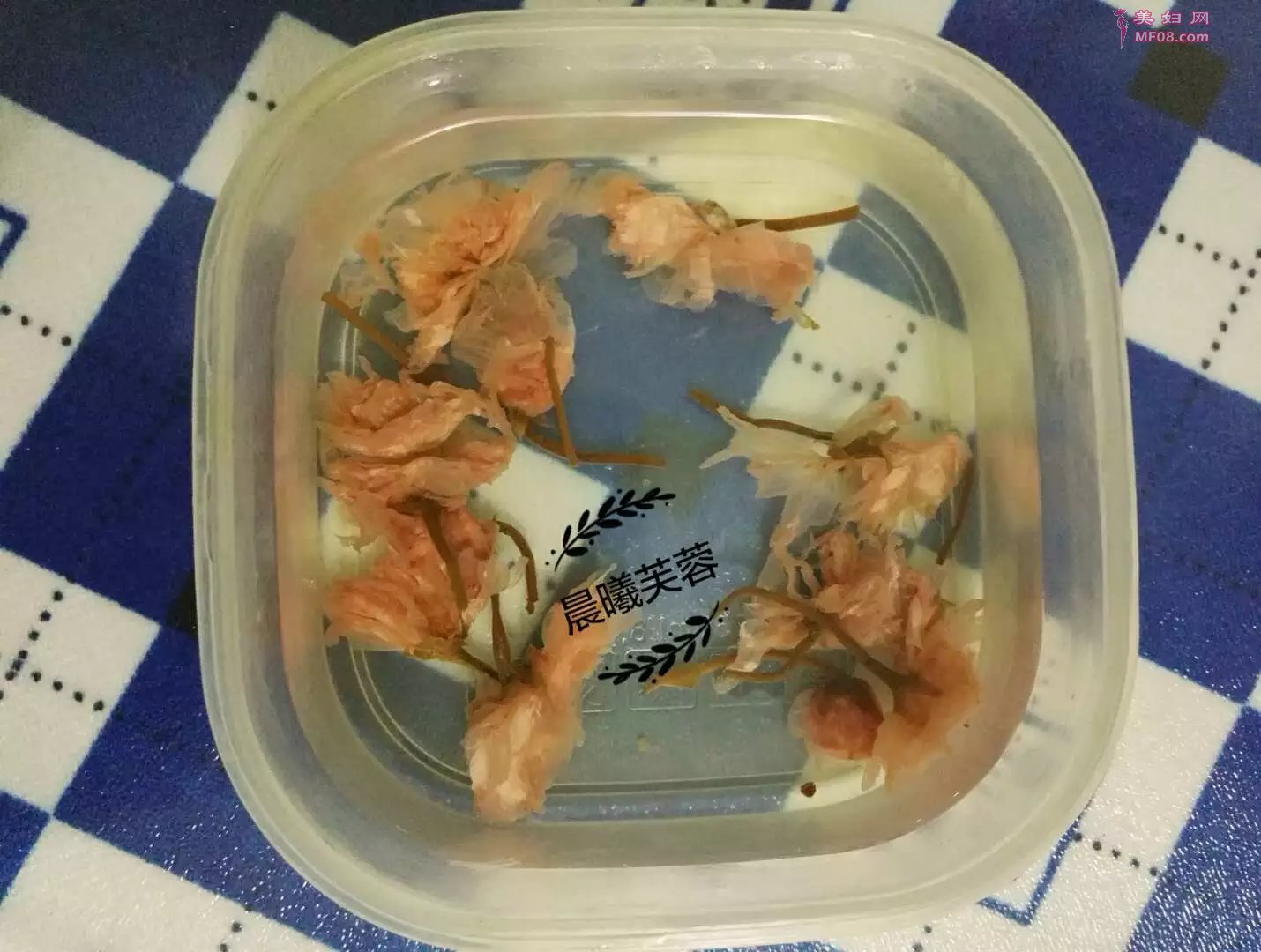 酵素DIY美食