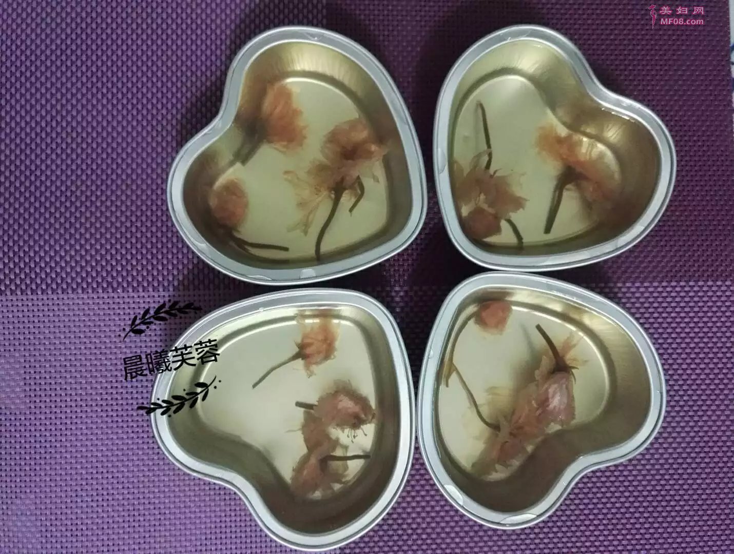 酵素DIY美食