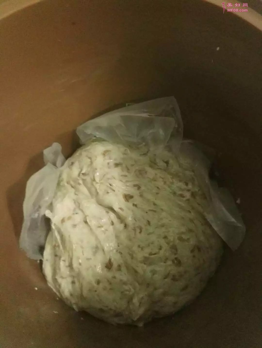 酵素DIY美食