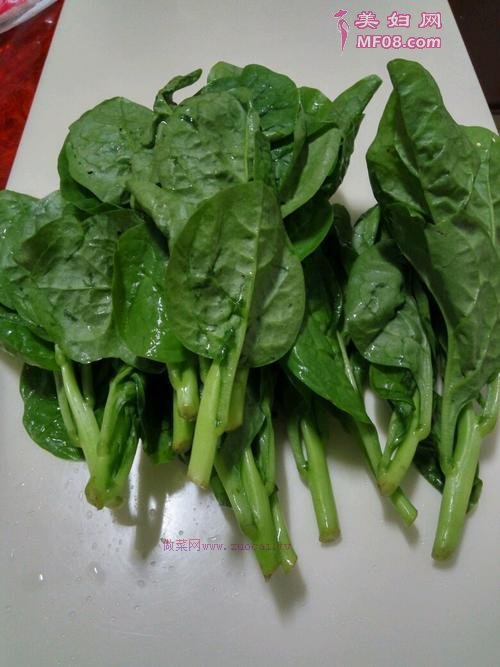 蚝油木耳菜的做法