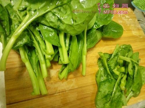 蚝油木耳菜的做法