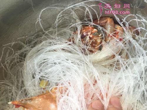 螃蟹粉丝煲的做法
