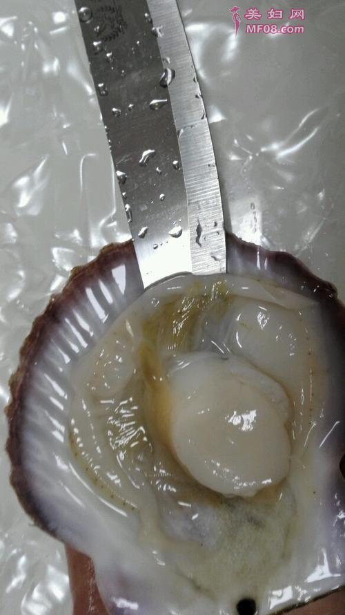 ط˿ȱ