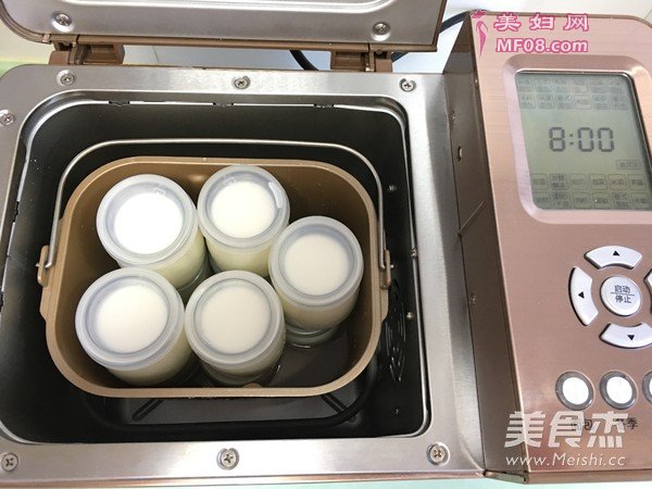 自制无糖酸奶的做法