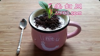 自制酸奶