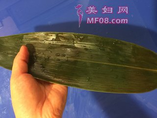 广东咸肉蛋黄粽子