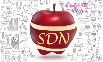 գΪӦԡ˫11賿ֵܳͻ´йSDNЭͬSDNOSDN Orchestratorϵͳ˶ԽЧ˰Ͱ30%ͻ·˸ϵͳ縺ؾƣԴʣõûti顣