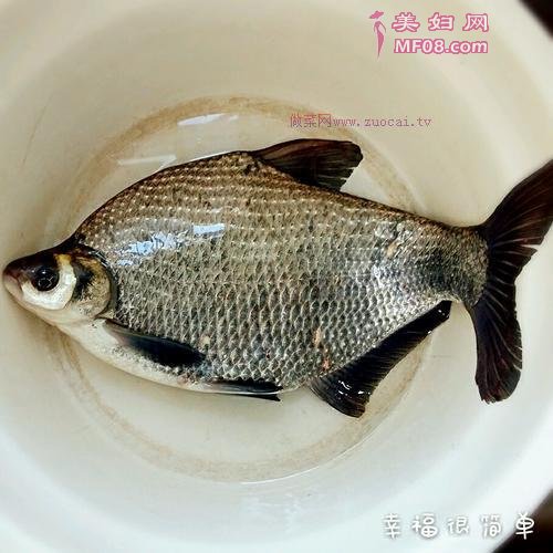 清蒸武昌鱼的做法