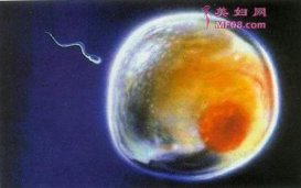 ݶųųʱ䣿