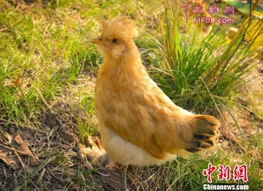 л塪л͢ƻ Ұ԰ͼ