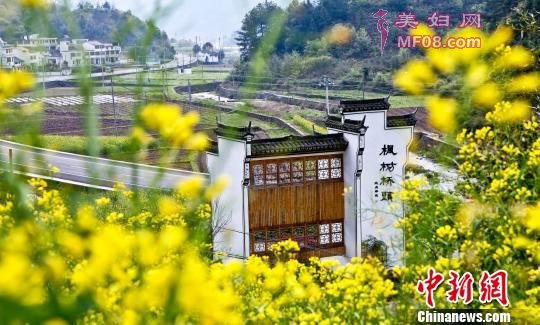 古SE古香的白墙黑瓦式村口：虞宅镇桥头村 浦江县农办提供