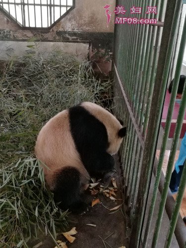 ͼƬԣ̬վ