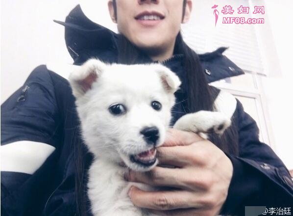 李治廷发微博为狗狗讨回公道竟遭网友炮轰