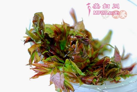 怎么做香椿拌豆腐最好吃 香椿拌豆腐怎么做好吃