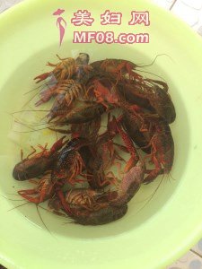 清蒸小龙虾怎么做好吃 清蒸小龙虾的家常做法