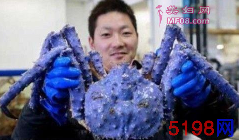 因污染变异的5大生物，再一次给人类敲响了警钟！