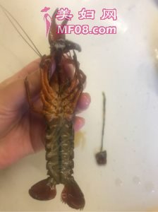 ôСϺó СϺôó
