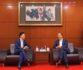 빤 ̶