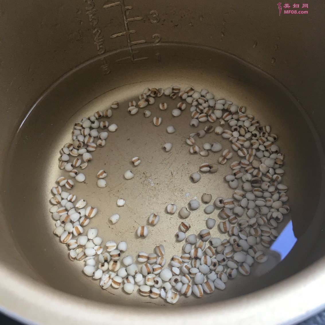 家常雪梨荸荠薏米糖水的做法 雪梨荸荠薏米糖水怎么做好吃