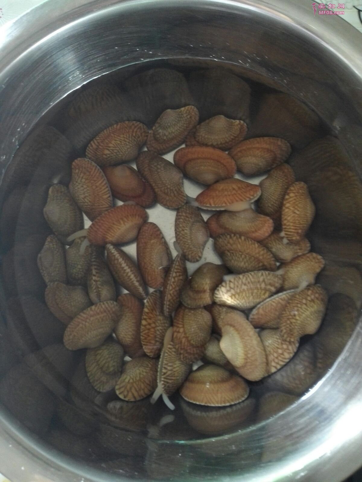 香辣花蛤怎么做 香辣花蛤的做法